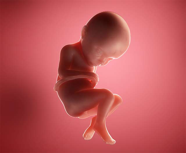 На 32 неделе начинается интенсивная подготовка организма к предстоящим родам. Она сопровождается ощущением тяжести и тянущей боли внизу живота, а также импульсы в области матки. Медики называют симптомы схватками Брекстона Хикса.