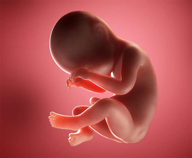 38 неделя беременности - это уже финишная прямая. Плод хорошо сформировался, чтобы роды прошли успешно. Если этот период проходят роды, то ребенок рождается доношенным, ему не требуется специальный уход и нахождение в инкубаторе. Однако, природе виднее, если роды не происходят на 38 неделе, то это еще не критично.