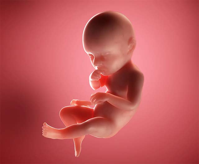 Вес малыша на 39 неделе беременности достигает 3 кг. Его рост составляет примерно 52 см. Мальчики, как правило, чуть крупнее, поэтому рост и вес девочки может составлять 2,5 кг и 50 см. соответственно. Диаметр головки ребенка равен 92,5 мм. Объем груди — 98 мм. Объем живота — 101 мм.